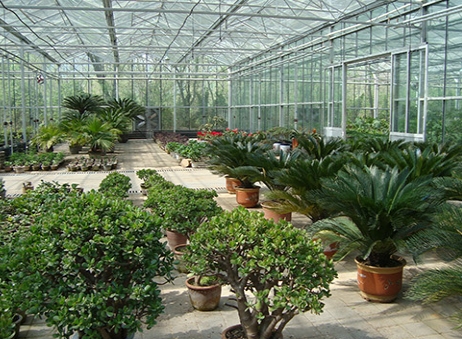 與傳統(tǒng)的種植方式相比，溫室大棚有哪些優(yōu)勢？